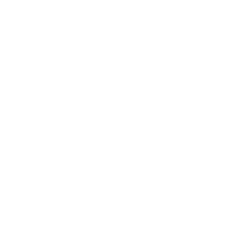 TechmaHost